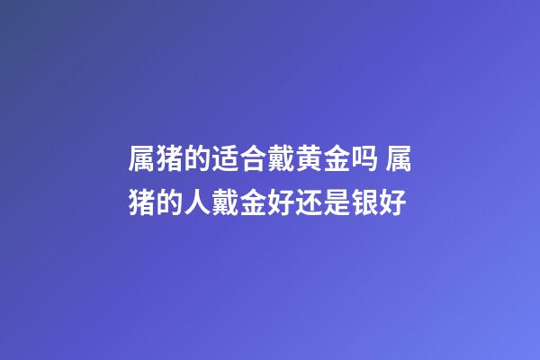 属猪的适合戴黄金吗 属猪的人戴金好还是银好-第1张-观点-玄机派